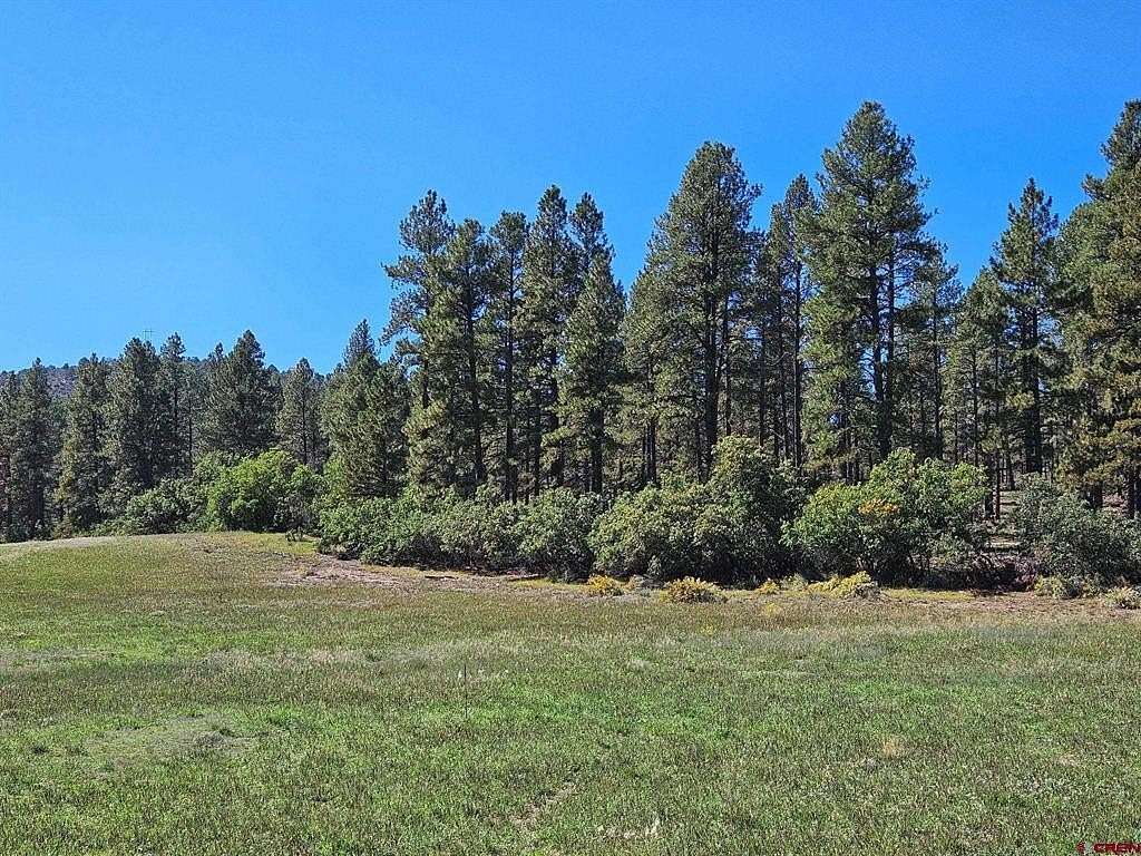 155 Acres of Recreational Land for Sale in Bayfield, Colorado