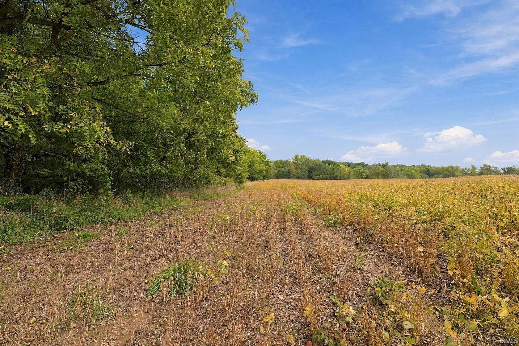 32.9 Acres of Land for Sale in Hudson, Indiana