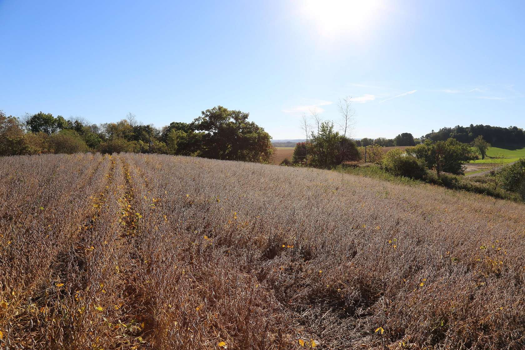 3.4 Acres of Residential Land for Sale in Sparta, Wisconsin