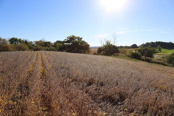 3.4 Acres of Residential Land for Sale in Sparta, Wisconsin