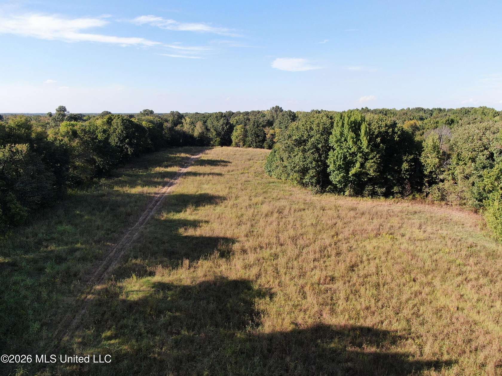 89 Acres of Recreational & Residential Land for Sale in Nesbit, Mississippi