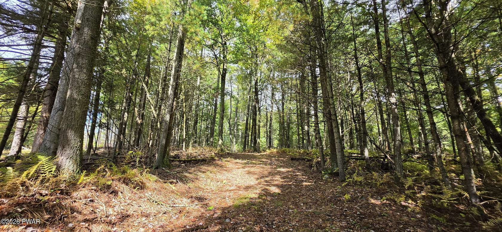 5 Acres of Residential Land for Sale in Narrowsburg, New York