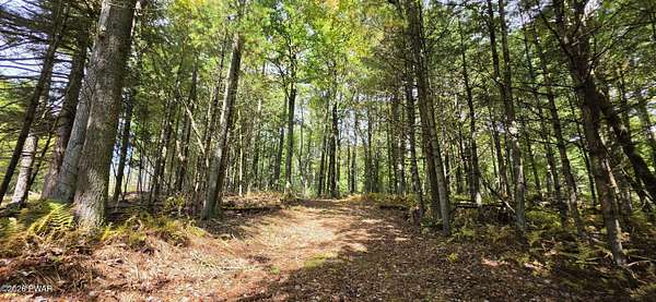 5 Acres of Residential Land for Sale in Narrowsburg, New York