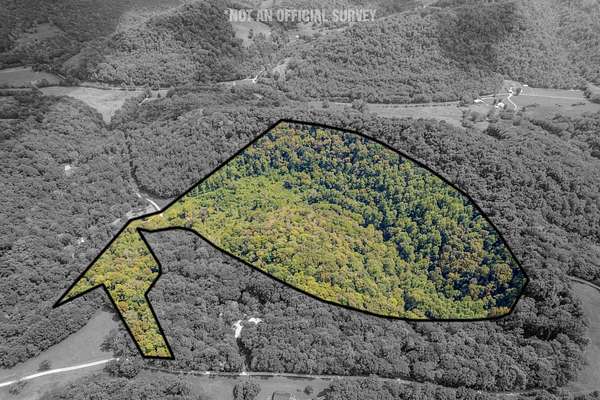 53.2 Acres of Recreational & Residential Land for Sale in Buffalo Valley, Tennessee