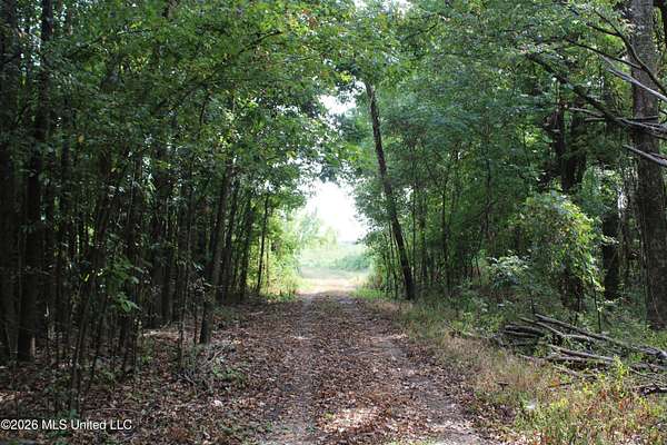 11 Acres of Land for Sale in Nesbit, Mississippi