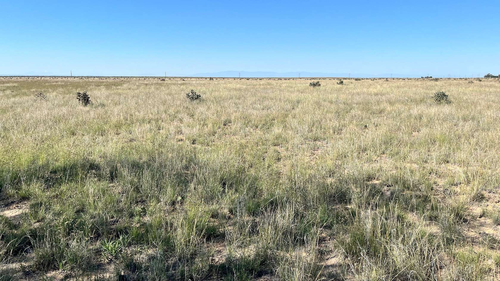 240 Acres of Agricultural Land for Sale in Boone, Colorado