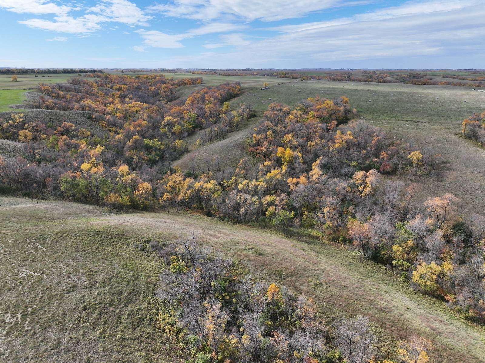 1,717 Acres of Land for Auction in Carpio, North Dakota