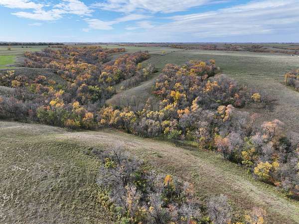 1,717 Acres of Land for Auction in Carpio, North Dakota