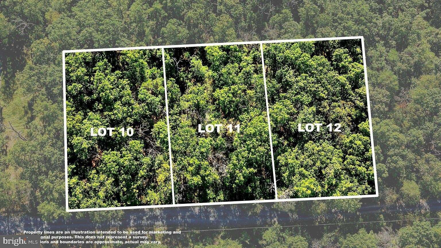 1 Acre of Residential Land for Sale in Winchester, Virginia