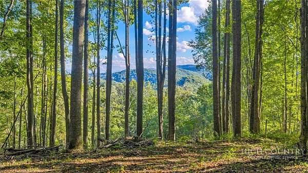 24.7 Acres of Recreational & Residential Land for Sale in Whitetop, Virginia