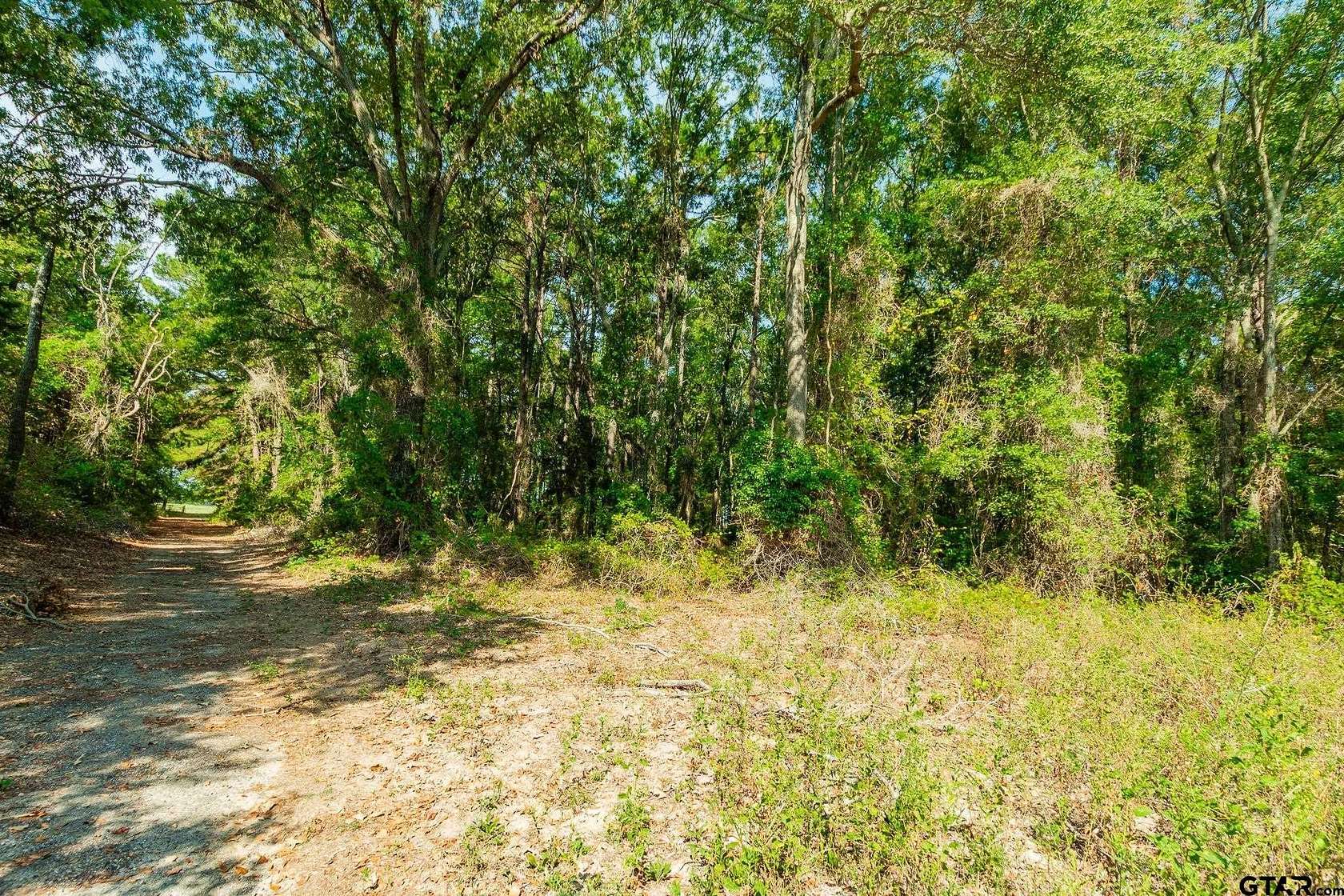 19.9 Acres of Land for Sale in Tyler, Texas