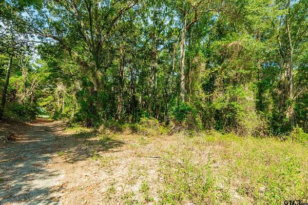 19.9 Acres of Land for Sale in Tyler, Texas