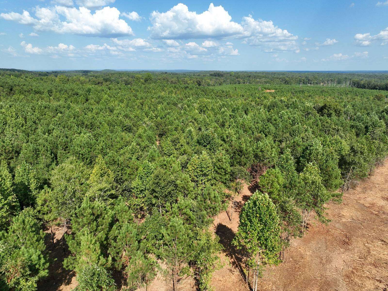 10.1 Acres of Recreational & Residential Land for Sale in Wadley, Alabama
