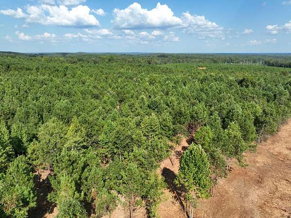 10.1 Acres of Recreational & Residential Land for Sale in Wadley, Alabama
