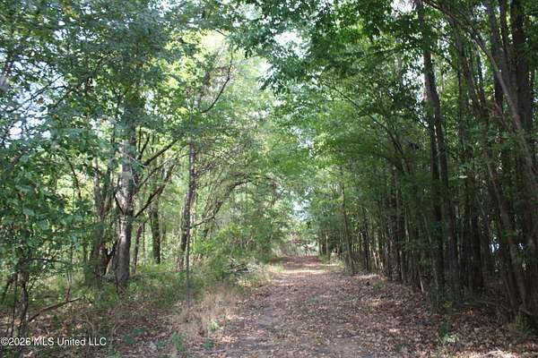 13 Acres of Land for Sale in Nesbit, Mississippi