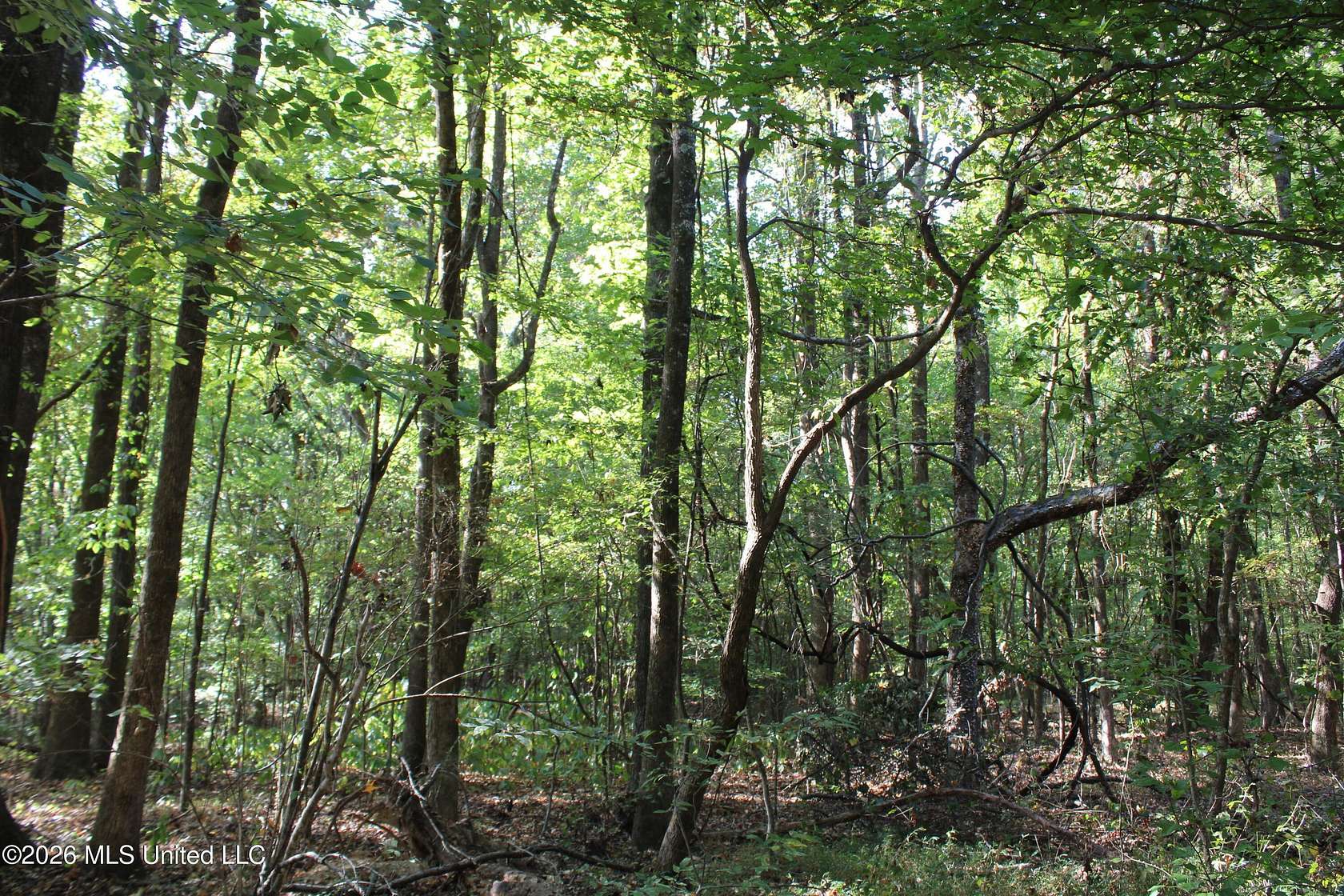 11 Acres of Land for Sale in Nesbit, Mississippi