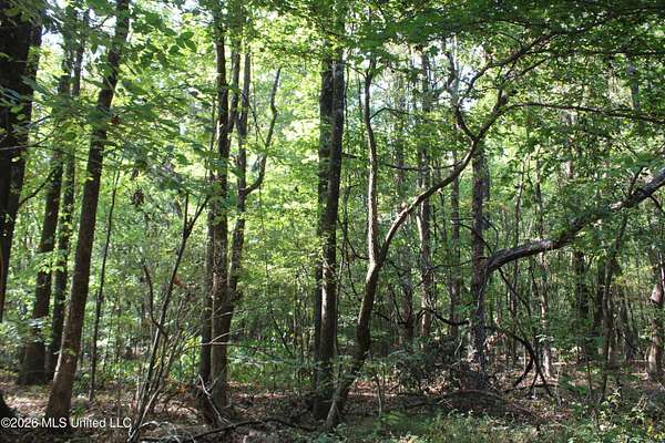 11 Acres of Land for Sale in Nesbit, Mississippi