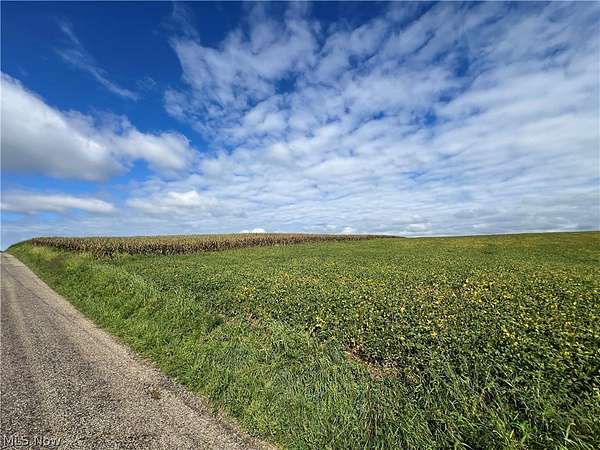 27 Acres of Agricultural & Residential Land for Auction in Loudonville, Ohio