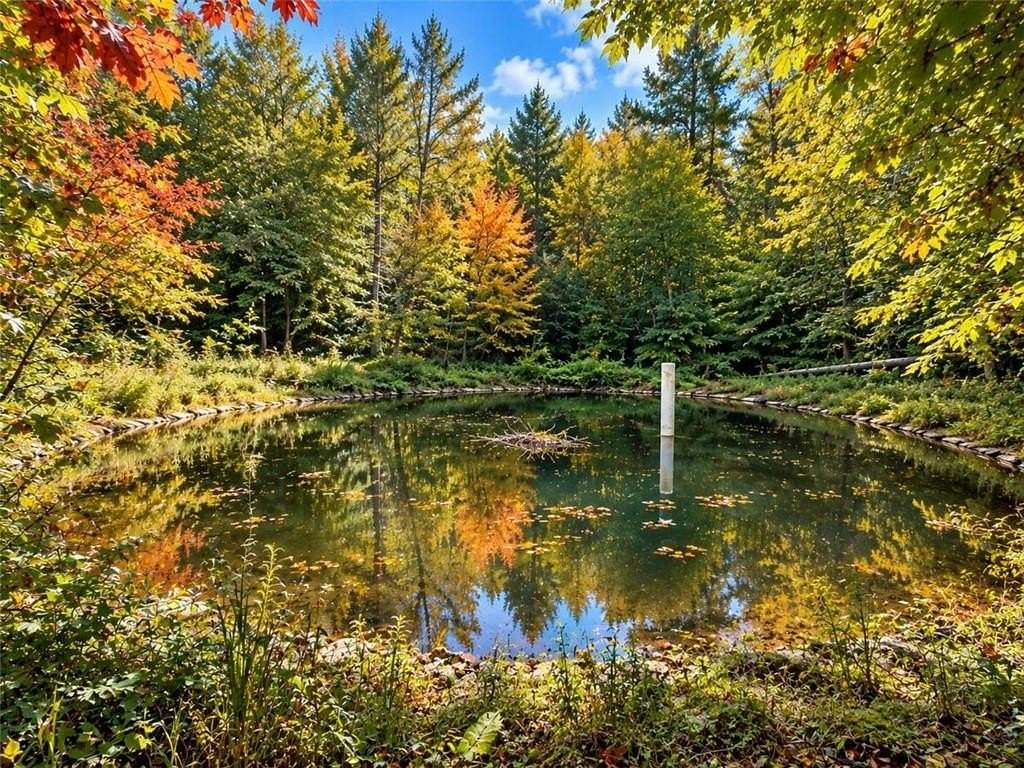 14 Acres of Land for Sale in Ellijay, Georgia