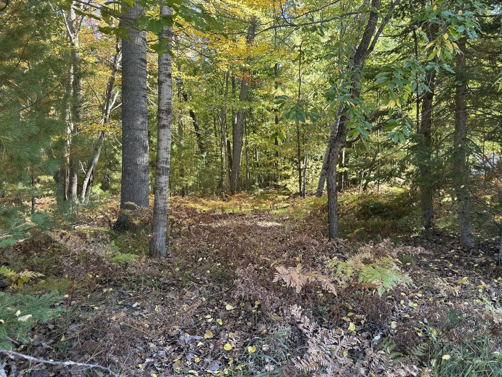 2.13 Acres of Residential Land for Sale in Prudenville, Michigan