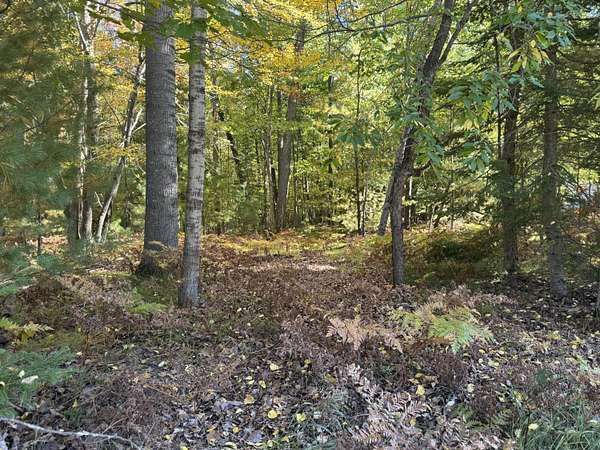 2.13 Acres of Residential Land for Sale in Prudenville, Michigan
