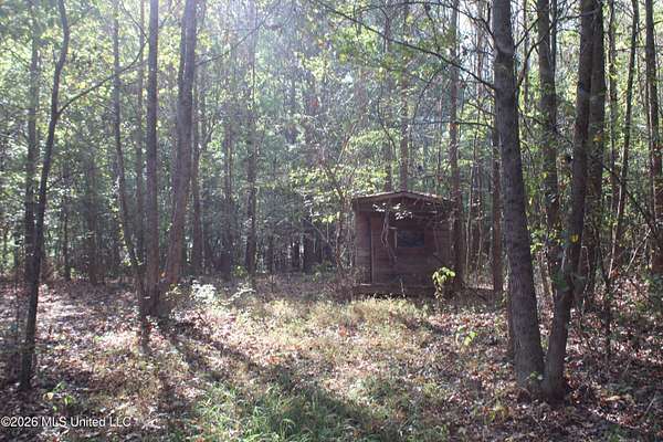 11 Acres of Land for Sale in Nesbit, Mississippi