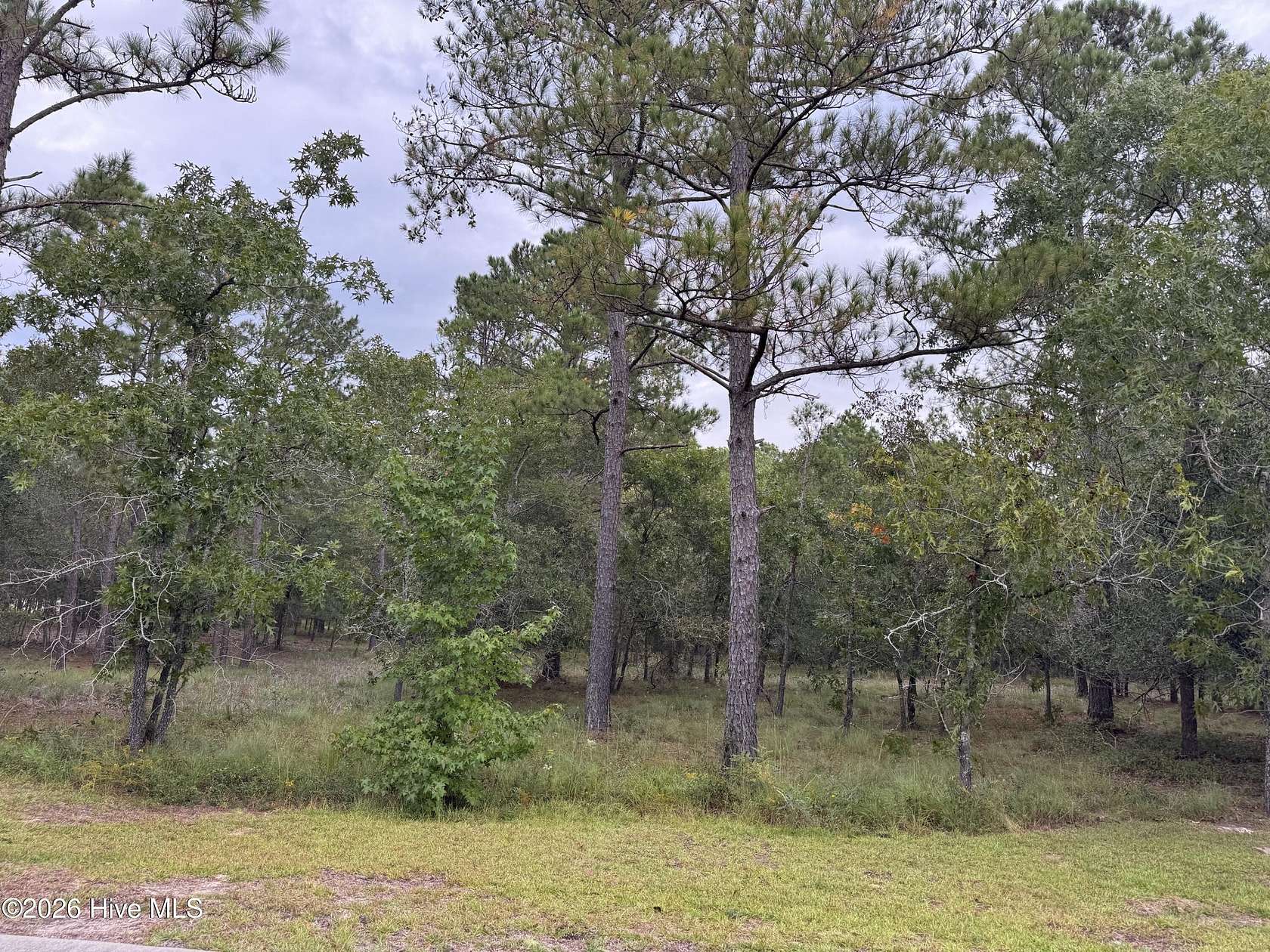 0.35 Acres of Residential Land for Sale in Bolivia, North Carolina