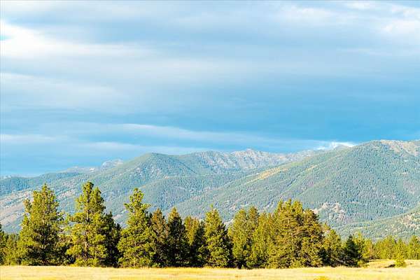 20 Acres of Land for Sale in Eureka, Montana