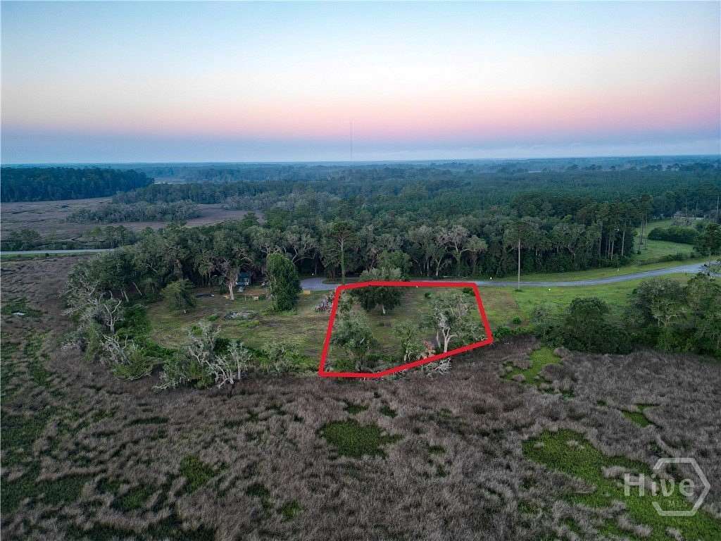 0.82 Acres of Residential Land for Sale in Townsend, Georgia