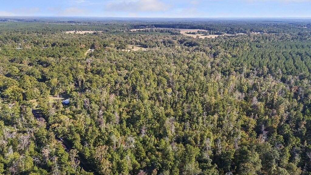 23.5 Acres of Land for Sale in Zavalla, Texas