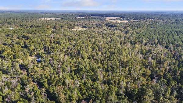 23.5 Acres of Land for Sale in Zavalla, Texas
