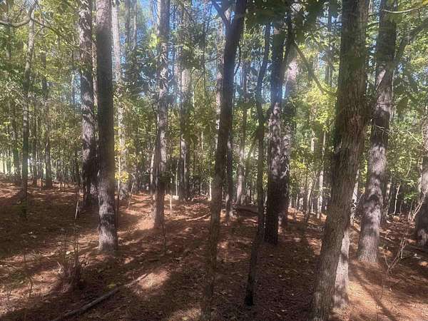 0.33 Acres of Land for Sale in Hot Springs Village, Arkansas