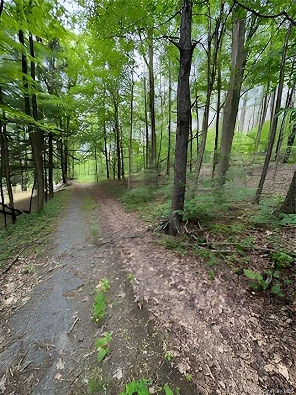 1 Acre of Residential Land for Sale in Port Jervis, New York