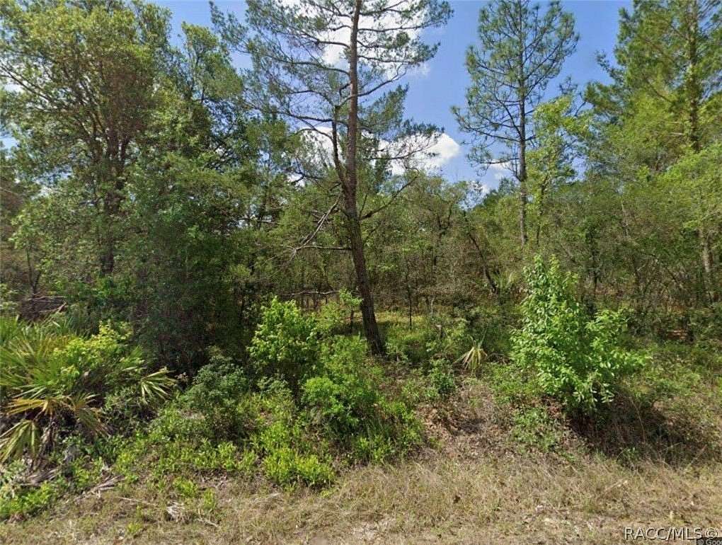 2.5 Acres of Residential Land for Sale in Dunnellon, Florida