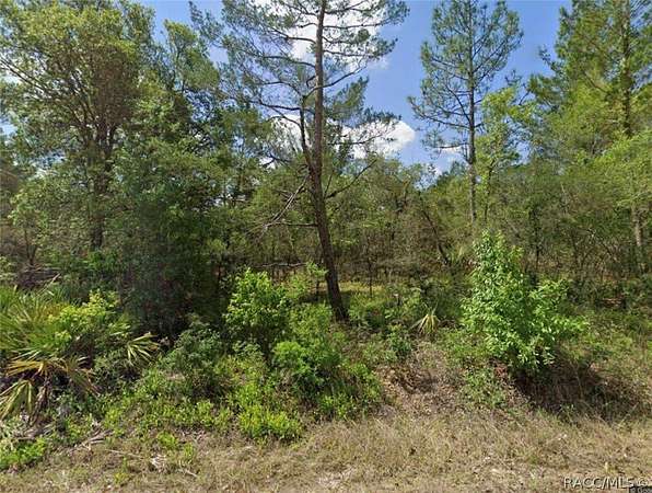 2.5 Acres of Residential Land for Sale in Dunnellon, Florida