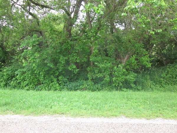 0.34 Acres of Residential Land for Sale in Lake Summerset, Illinois
