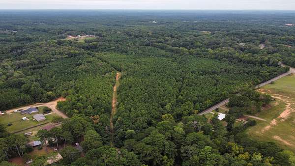 39.3 Acres of Land for Sale in Kosciusko, Mississippi