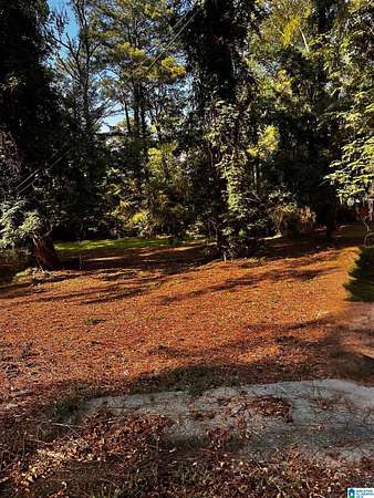 0.18 Acres of Residential Land for Sale in Gadsden, Alabama