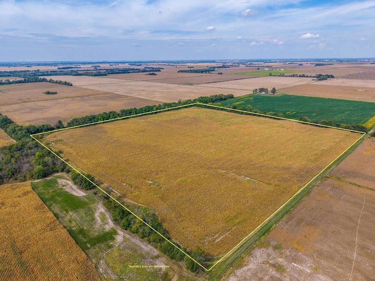 40 Acres of Agricultural Land for Sale in Keyesport, Illinois