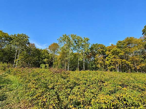 5.57 Acres of Residential Land for Sale in Black Earth, Wisconsin