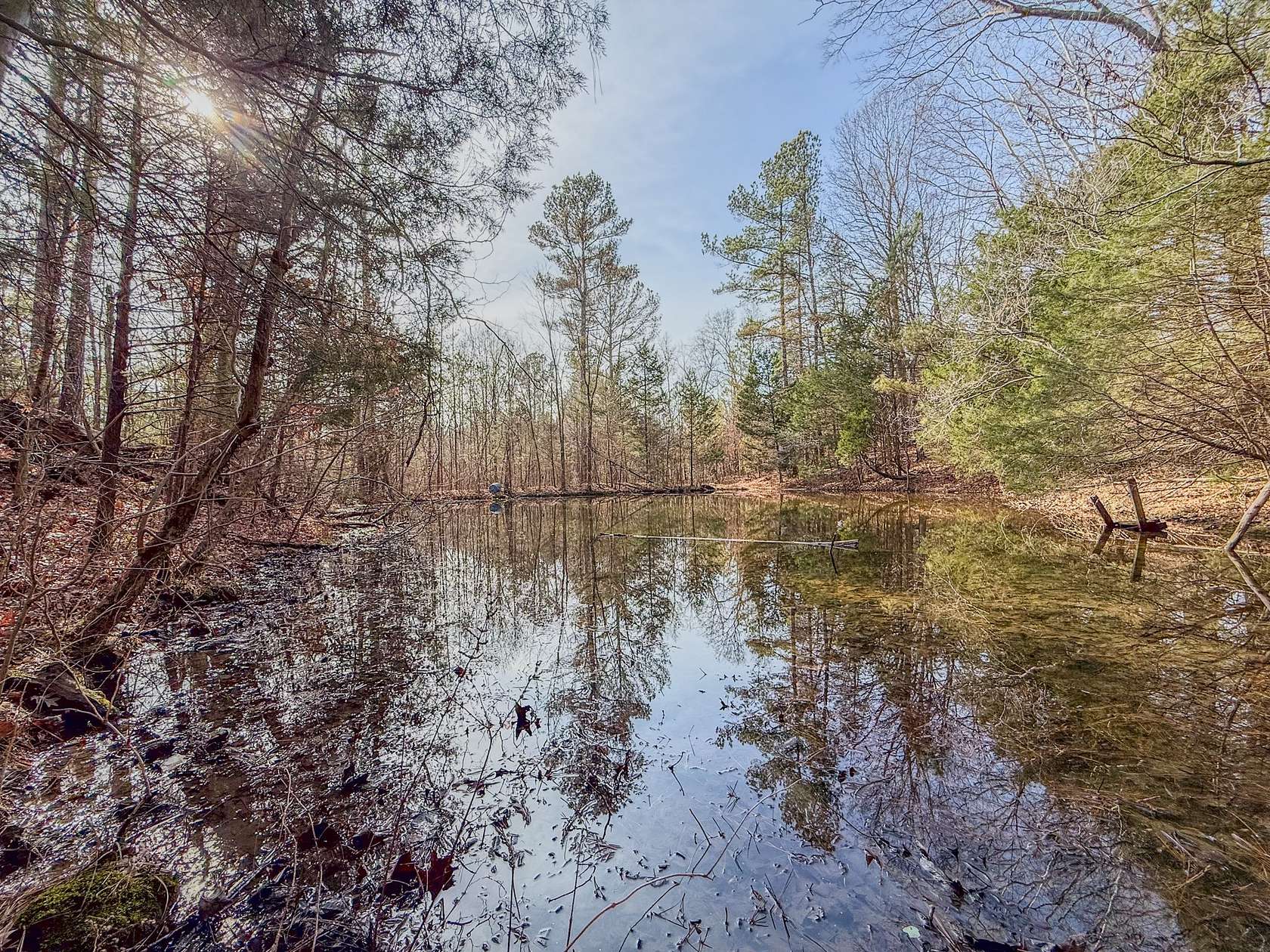 50 Acres of Land for Sale in Portland, Tennessee