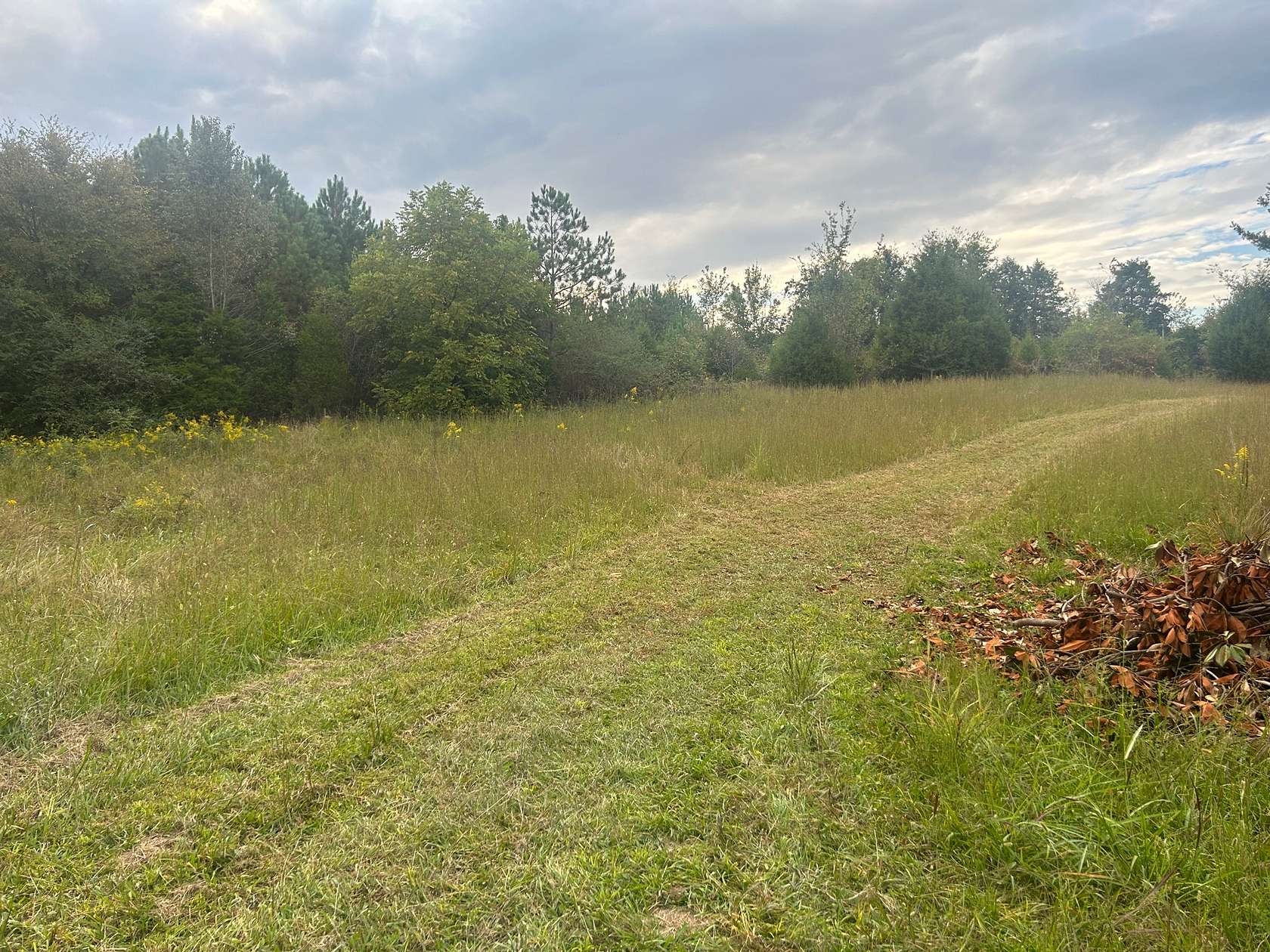 14.8 Acres of Land for Sale in Athens, Tennessee