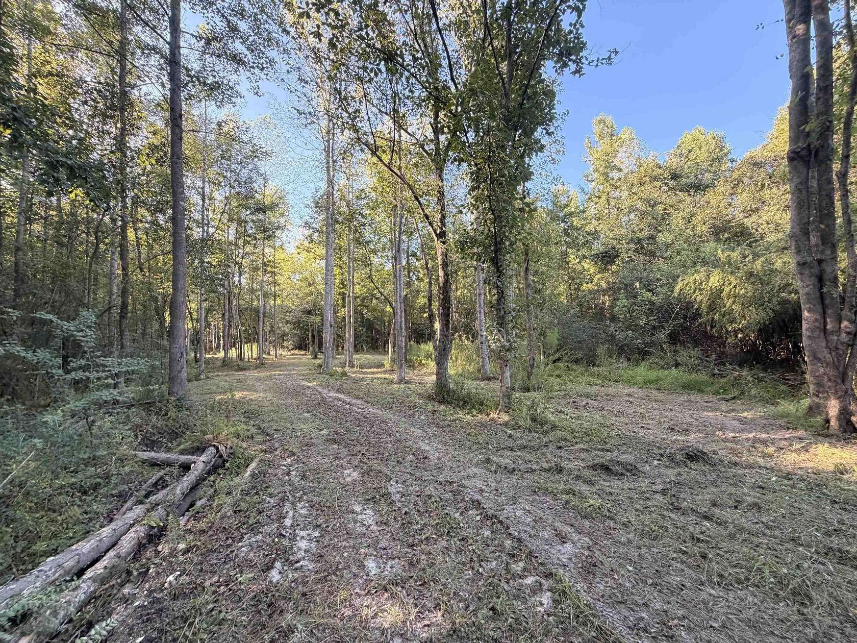 8.5 Acres of Land for Sale in Nichols, South Carolina