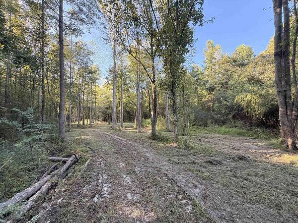 8.5 Acres of Land for Sale in Nichols, South Carolina