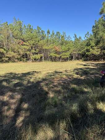 43.7 Acres of Land for Sale in Ripley, Mississippi