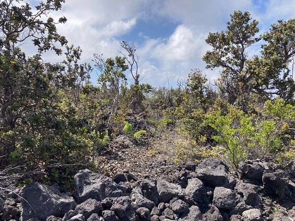 1 Acre of Land for Sale in Hawaiian Ocean View, Hawaii