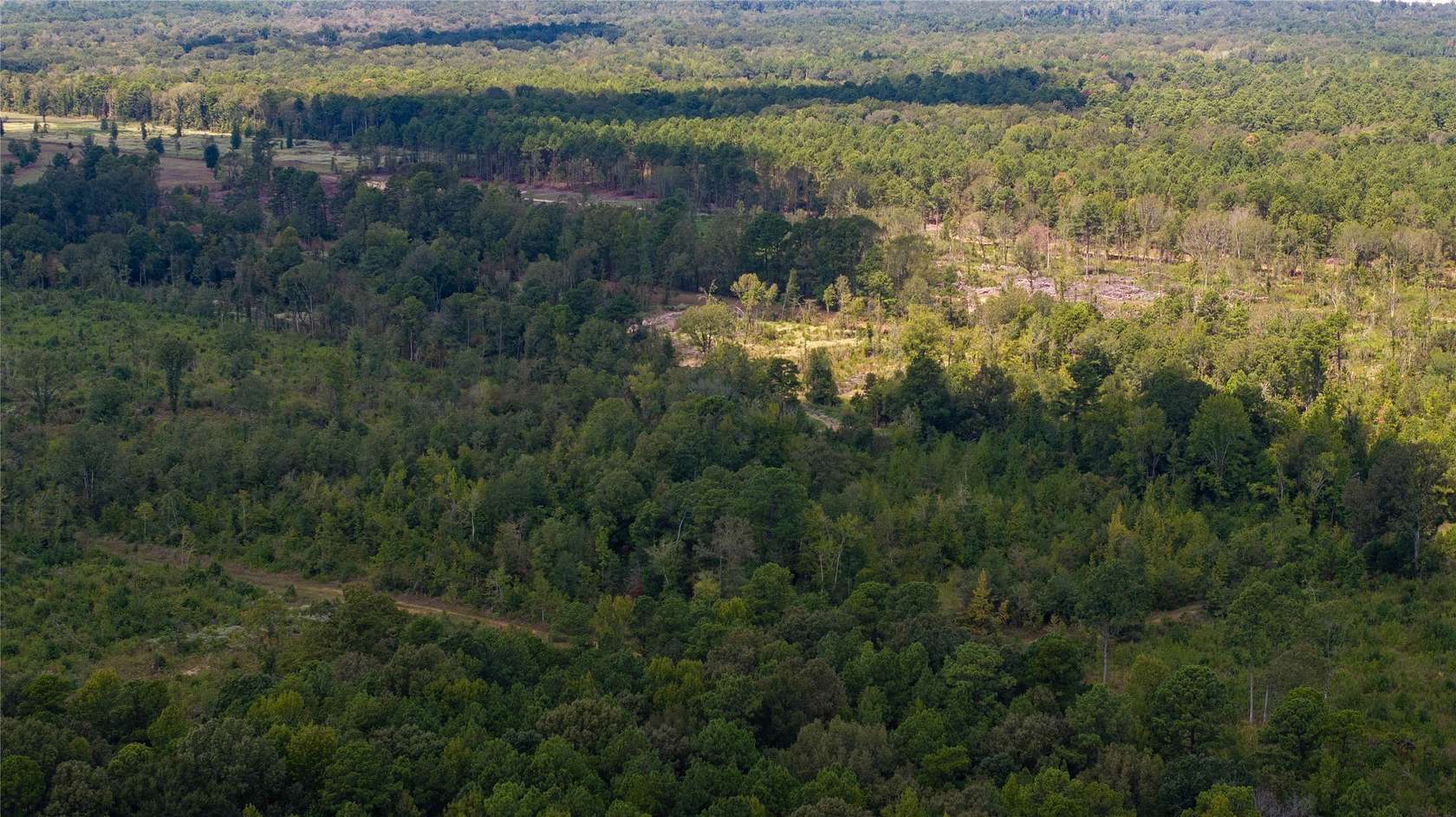 141 Acres of Recreational & Residential Land for Sale in Marshall, Texas