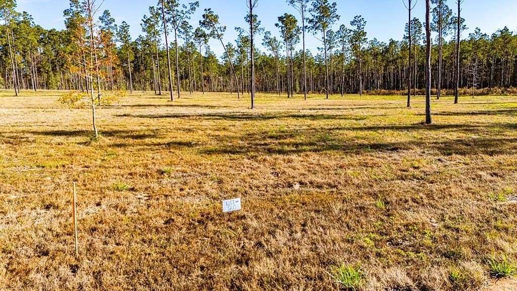 11.1 Acres of Land for Sale in Moscow, Texas