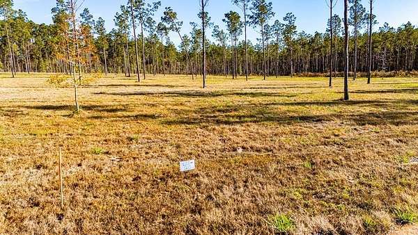 11.1 Acres of Land for Sale in Moscow, Texas