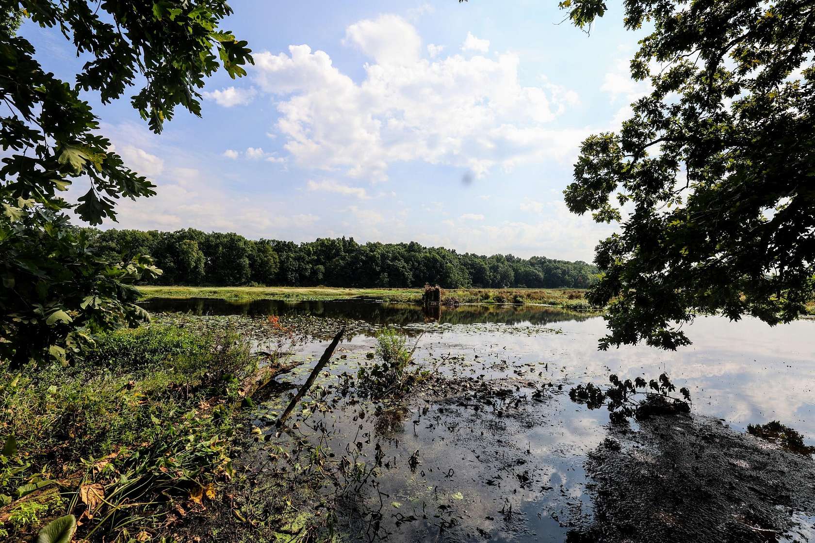 100 Acres of Recreational Land for Sale in Dowagiac, Michigan